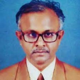 Prof. Gopinath Palai